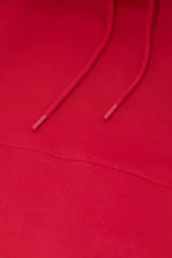 Closed Hoodie with logo Chili pepper red Online